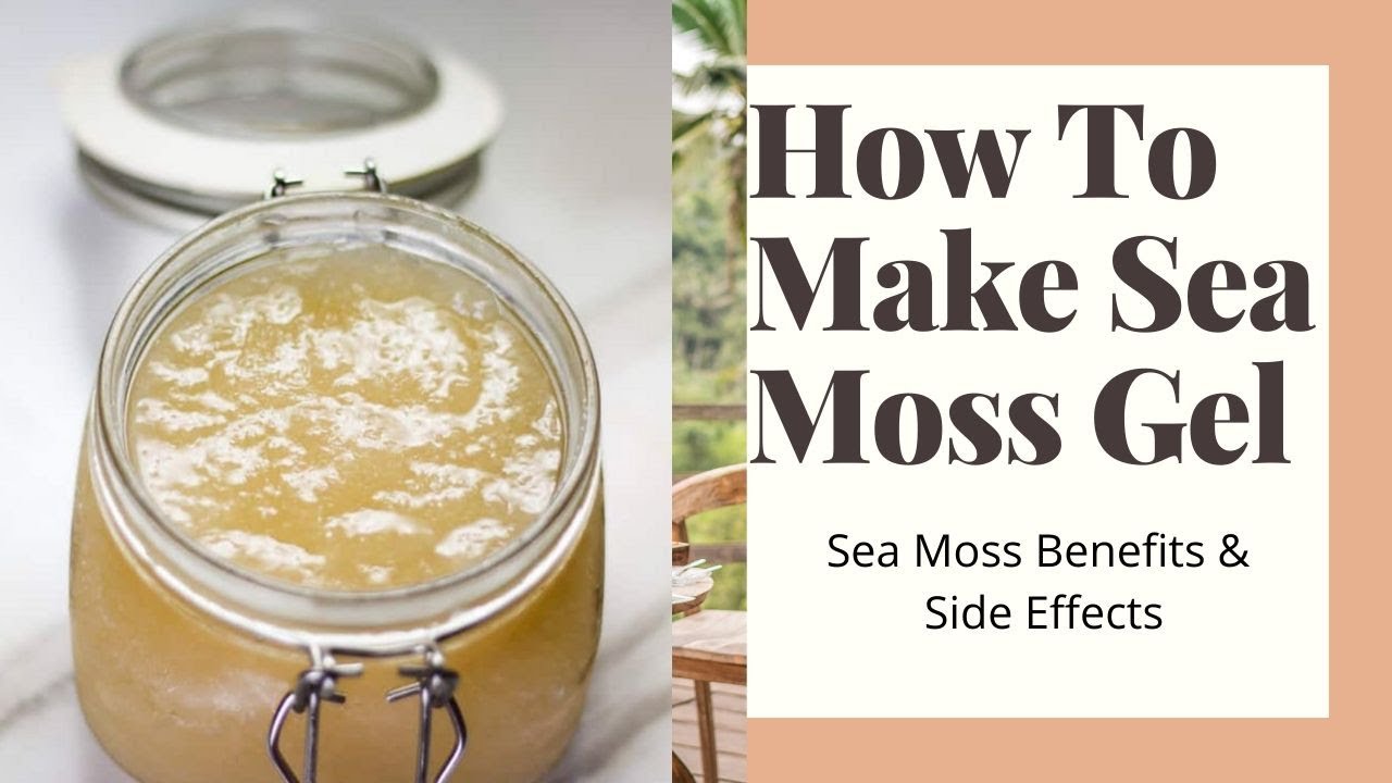 How-to-make-sea-moss-gel-benefits-and-side-effects